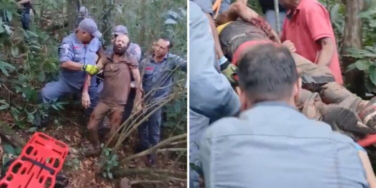 Suspeito é atacado por quatro pitbulls ao tentar invadir chácara em Franca, SP